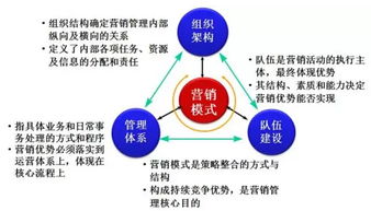 营销组织必须具备四大核心能力,你具备几点 北京华夏基石管理咨询集团